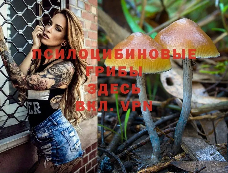 Галлюциногенные грибы Magic Shrooms  Махачкала 